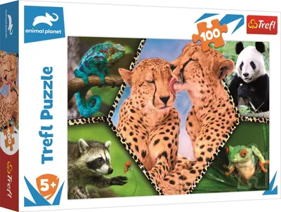 Produktbild von Trefl Trefl 100 - Beautiful nature / Discovery Animal Planet