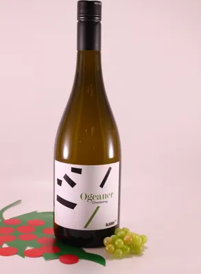 Produktbild von Chardonnay Ogeaner - 2023 - Weinhof Kobler Armin