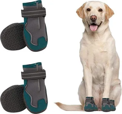 Produktbild von Famanu Hundeschuhe - Poteinschutz mit Antirutschsohle