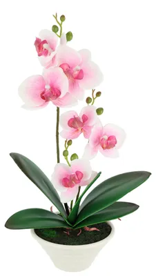 Produktbild von Kunstorchidee Rosa im Topf 30 cm – Realistische künstliche Orchidee mit Blüten &