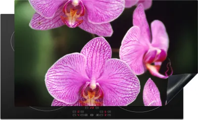 Produktbild von KitchenYeah© Herdabdeckplatte Rosa Orchidee , 91x52cm, Küche Deko, Glaskeramikkochfeld Herdabdeckung, Abdeckplatte fùr Kochfeld