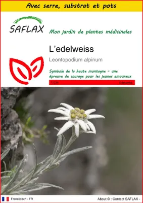 Image de SAFLAX Ensemble de culture - L’edelweiss - 500 graines - Leontopodium