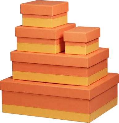 Immagine prodotto di Set di 5 scatole Rhodia color mandarino