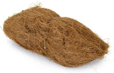 Produktbild von Beeztees Nistmaterial - Vogel - Kokos - 270 g