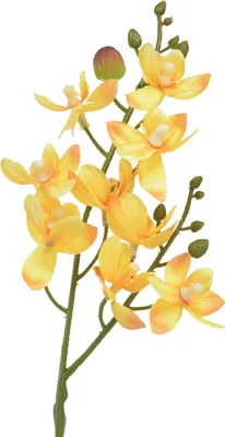 Produktbild von Kunstblume Orchidee Phalaenopsis für stilvolle Dekorationen