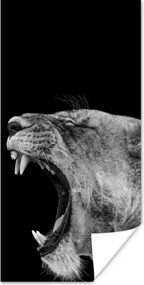 Produktbild von MuchoWow® Poster Tiere - Löwe - Schwarz - Weiß - Porträt 60x120 cm - Wandschmuck