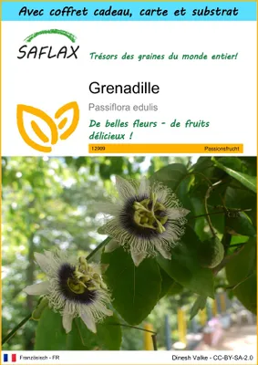 Image de SAFLAX Ensemble-cadeau - Grenadille - 40 graines - Passiflora