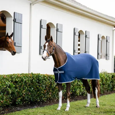 Produktbild von Horseware Abschwitzdecke in Größe 75 - Amigo Jersey Pony Cooler - Navy/Titanium Grey/Silver