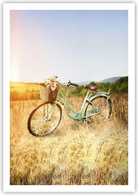 Produktbild von Poster - Poster ohne Rahmen - Fahrrad Wiese Blumen - 70x100 cm - Wand Bild - Wanddeko - Wandbilder - Kunstposter - Wandposter - Bilder - Kunstdruck - Wanddekoration - Wandbild - P2XPA70x100-4206