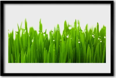 Produktbild von Bild 60x40 MDF-Rahmen Wandkunst Gras Natur Pflanze