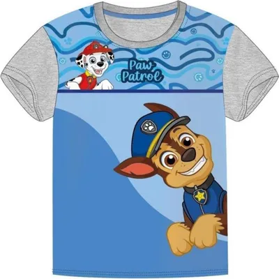 Produktbild von Paw Patrol T-Shirt für Kinder mit Print Kurzarm-Shirt 3 Jahre Grau