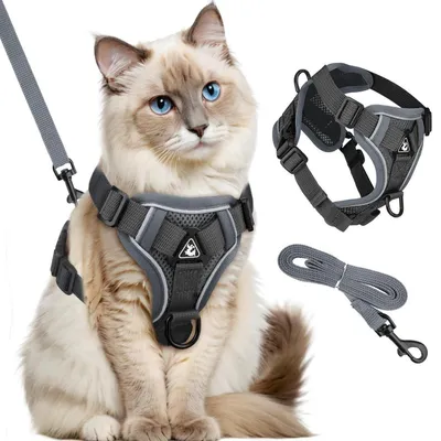 Immagine prodotto di Collare per gatti con guinzaglio, antiscappamento, regolabile, riflettente, grigio, taglia S