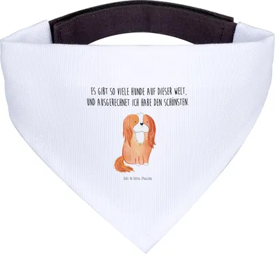 Produktbild von Mr. & Mrs. Panda Halstuch Hund Cavalier King Charles Spaniel - Weiß - Geschenk, kleines, Tuch für Hunde, Sprüche, Cockerspaniel, Bester, Spruch