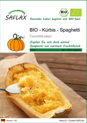 Produktbild von SAFLAX - BIO - Kürbis - Spaghetti - Cucurbita pepo - 5 Samen