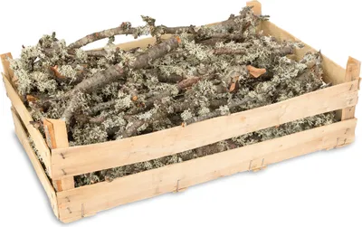 Produktbild von Moos Zweige Natur, verpackt in einer Holzsteige 60x40x18cm | Dekoäste