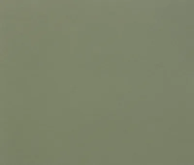 Produktbild von Clairefontaine Zeichenpapier Tulipe 50x65 cm 160g, Pkg 25 Bl Ozeangrün 960186C