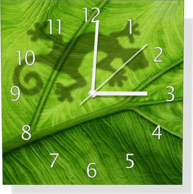 Produktbild von Wallario Design Wanduhr Gecko Schatten auf grünem Blatt - Umriss aus Aluverbund, Größe 30 x 30 cm