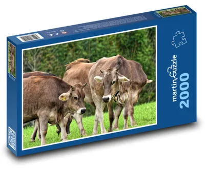 Zdjęcie produktu dla Puzzle 2000 Krowy na Zielonej Łące - martinpuzzle