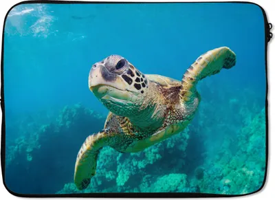 Produktbild von MuchoWow® Laptop Hülle 14 ZollMeeresschildkrötenschwimmen auf Hawaii Laptoptasche - Laptoptasche - Stoßsicher - Schutzhaube