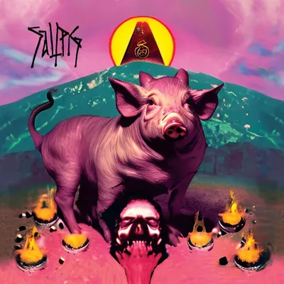 Produktbild von Saltpig