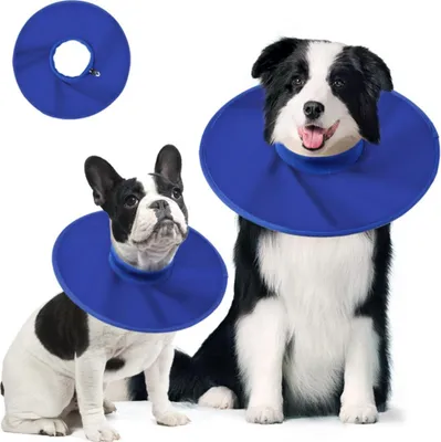 Immagine prodotto di INF Collare Elisabettiano per Cani in Tessuto Oxford - Impermeabile e Anti-Leccamento XL
