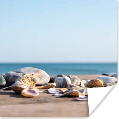Produktbild von MuchoWow® Poster Muscheln - Strand - Meer - Sommer - Sonne 50x50 cm - Wohnzimmerdekoration