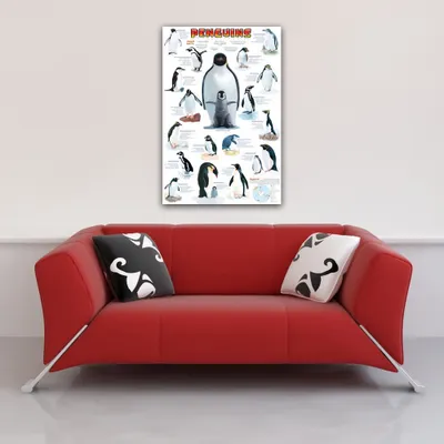 Produktbild von Educational - Bildung Penguins Pinguine - Poster Druck - Größe 61x91,5 cm