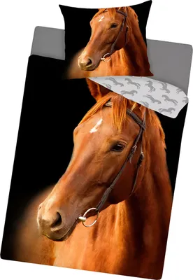 Zdjęcie produktu dla Pościel dwustronna 140x200 cm - Brązowy koń