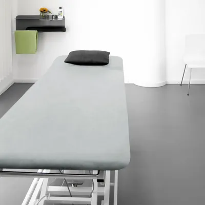 Produktbild von Traumschlaf Frottee Liegenbezug für Behandlungsliegen ca. 65x190 cm silber