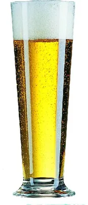 Image de 6 verres à bière Linz Arcoroc 0,3 L calibrés