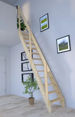Produktbild von Raumspartreppe Fichte 2000 gerade-Holzgeländer (1 Querleiste)