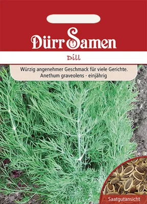 Produktbild von Dürr-Samen - Dill blattreicher - Saatgut - 0176