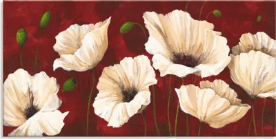 Produktbild von ARTland Leinwandbild Weiße Mohnblumen vor rot Größe: 60x30 cm