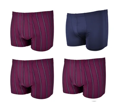 Produktbild von 4 Stück Retro Boxershorts , Farben:Mix 8-6, Gr. :8