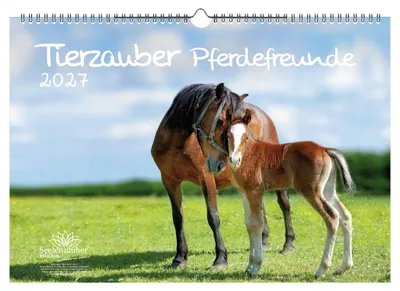 Produktbild von Tierzauber Pferdefreunde DIN A3 Kalender für 2027 Pferde und Fohlen