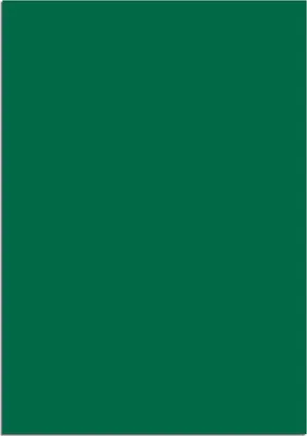 Produktbild von MAUL Magnetbogen Rechteck 1 Stück Ferrit magnetisch kunststoffbeschichtet beschriftbar 30 x 20 x 0.06 cm grün