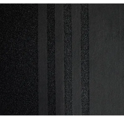 Produktbild von Schmutzfangmatte Eazycare Zone 67x150cm schwarz.