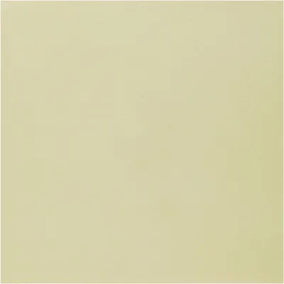 Produktbild von 800 grosse Servietten champagner Airlaid 40 x 40 cm