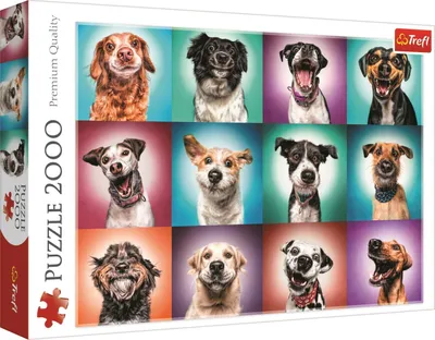 Produktbild von TREFL Puzzle Lustige Hundeporträts II, 2000 Teile