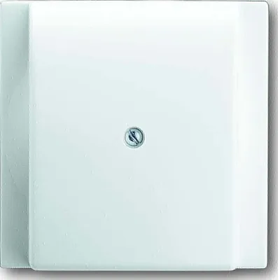 Produktbild von Busch-Jaeger Zentralscheibe aws 1749-74 2CKA001753A5002