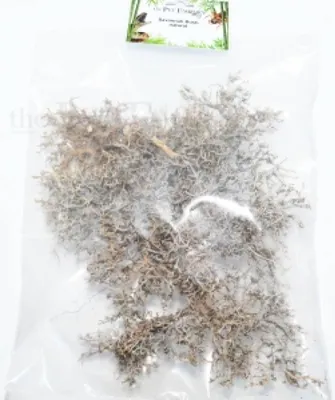 Zdjęcie produktu dla Savannah Busch naturalna