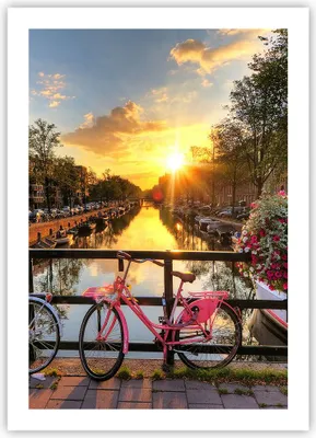 Produktbild von Poster - Poster ohne Rahmen - Bikes Kanal Amsterdam Architektur - 50x70 cm - Wand Bild - Wanddeko - Wandbilder - Kunstposter - Wandposter - Bilder - Kunstdruck - Wandbild - P2XPA50x70-3081