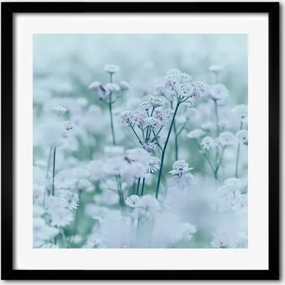 Produktbild von Bild - 50 cm x 50 cm - MDF - Rahmen, Wandkunst - Jarzmianka größer