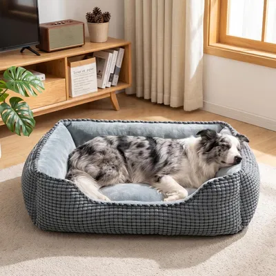 Productafbeelding van Hondenbed voor middelgrote honden - 76 x 61 x 23 cm - verhoogde rand - antislip onderkant - wasbaar