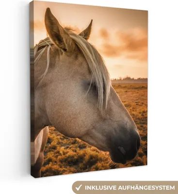 Produktbild von MuchoWow® - Leinwandbilder - Pferd - Tiere - Porträt, Wandbild, Wanddeko Bilder Wohnzimmer, 60x80 cm