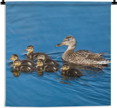 Produktbild von MuchoWow® Wandteppich Wandbehang Ente - Wasser - Vogel - Braun 150x150 cm Tapisserie Dekoration Wandtuch - Wohnaccessoires - Modernes