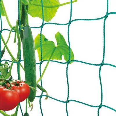 Zdjęcie produktu dla Siatka do podpierania roślin wspinających, idealna do pomidorów, róż, ogórków i innych roślin pnących - 5 x 2 metry
