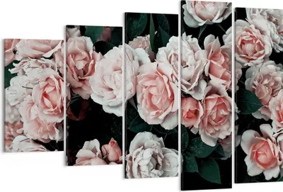 Produktbild von Bild auf Leinwand - Leinwandbild - 5 Teile - Rosen Blumen Blätter - 150x100cm - Wand Bild - Wanddeko - Wandbilder - Leinwanddruck - Bilder - Wanddekoration - Leinwand bilder - EG150x100-4760