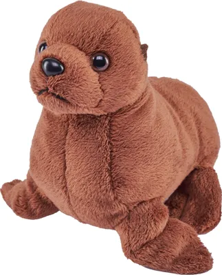 Image de Wild Republic - Doudou - Pocketkins Eco - otarie