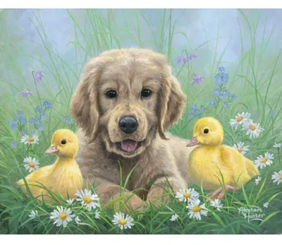 Imagen del producto de Pintura por números - LABRADOR Y CACHORROS, sin marco, 40 x 50 cm